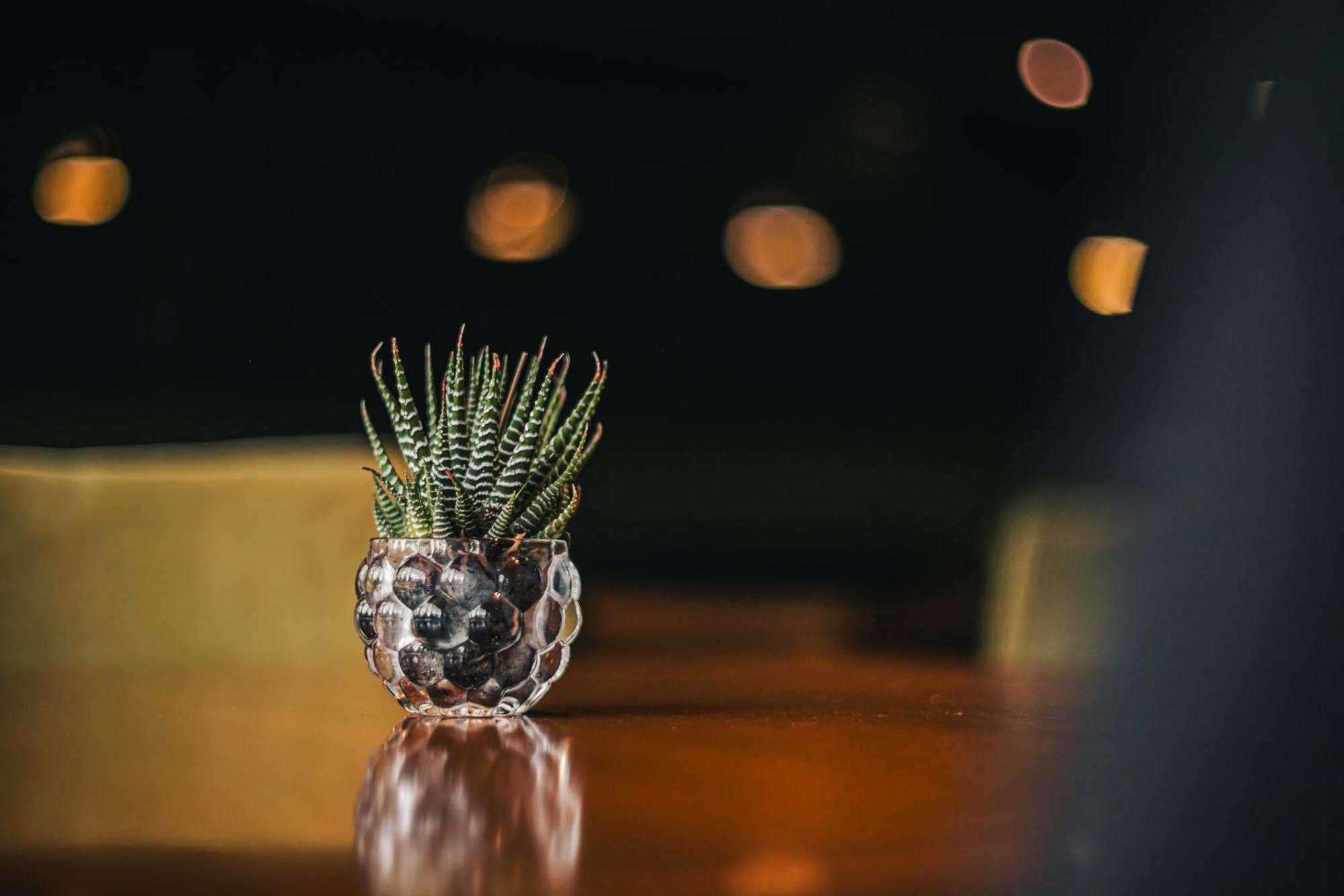 Portal Plaza Suites Mendoza Ngoại thất bức ảnh